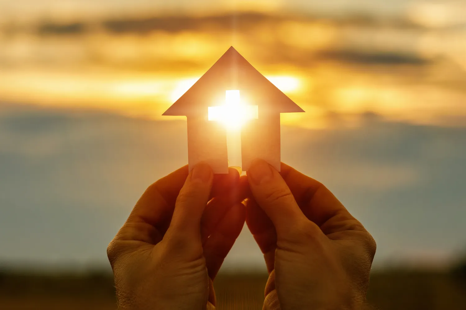 Beyond Surviving: Healing After Sexual Assault & Domestic Violence
